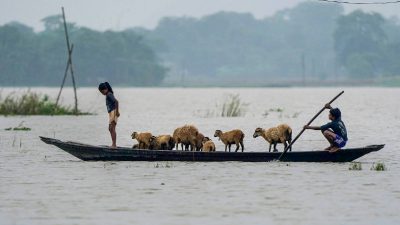 There is land shortage for rehabilitation of calamity-hit people says Assam Minister