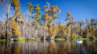 UNESCO adds Georgia's Okefenokee Swamp, Sarnath among new World Heritage sites