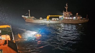 Survivors of Vietnam cargo shipwreck rise to 48 as search continues