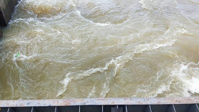 Cauvery water sharing with Tamil Nadu: Pro- Kannada groups protest
