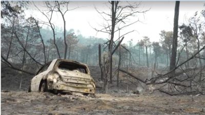 Heatwave and stronger winds threaten Spain's wildfire response