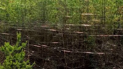 Ukraine releases video of fibre-optic cables left in forests by FPV drones