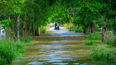 Odisha Flood: Excess water discharged from Hirakud reach Cuttack, 10 districts on high alert