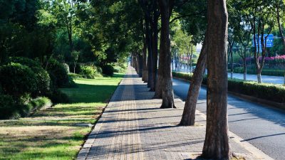 Supreme Court asks states to ensure safe, encroachment-free footpaths