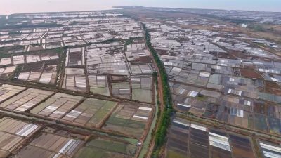Indonesia’s salt fields bloom under drought from El Nino’s baking heat