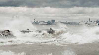 Typhoon Dolphin brings heavy rain and flooding in central China