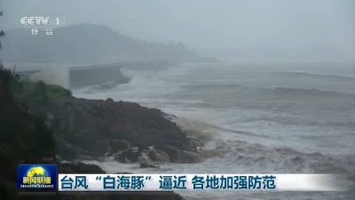 China shuts ports ahead of Typhoon Dolphin landfall