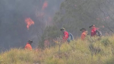 Indonesia battles growing wildfires as Mount Bromo blaze spreads