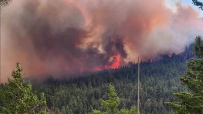Wildfire threat grows in Canada's British Columbia as Bald Range fire spreads