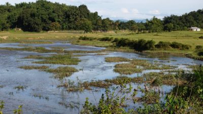 Pollution board told to act against waste dumping in Noida wetlands