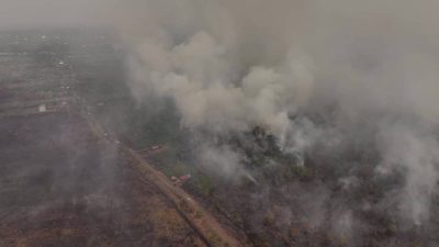 Europe battles wildfire surge amid heatwave; mass evacuations continue