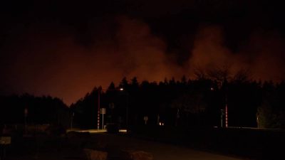 Wildfire reduces more than 1600 hectares to ashes in Belgian nature reserve
