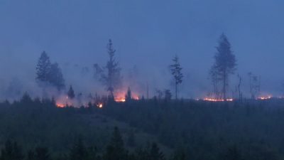 Belgium Wildfire: Burns 27 square kilometers, 600 residents evacuated