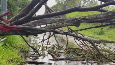 Hurricane Lala leaves over 200,000 Hawaii customers without power