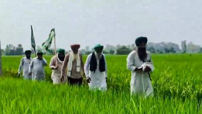 Farmers urge PM Modi to allow march to Delhi over trade deal