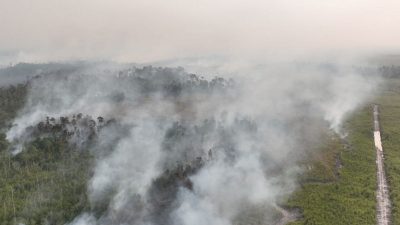 Indonesia arrests 72 people suspected of starting forest fires