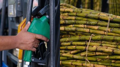 India bars sugar-based ethanol in 2026-27 petrol blending tender