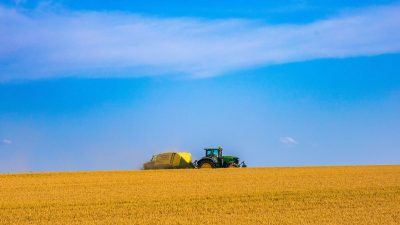 Rising CO2 levels may alter wheat protein composition, affect baking quality: Study