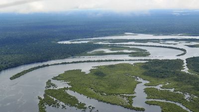 Brazil court halts Amazon gold mine plan over indigenous rights concerns