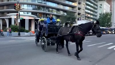 New York City votes to end horse-drawn carriage rides in 2028