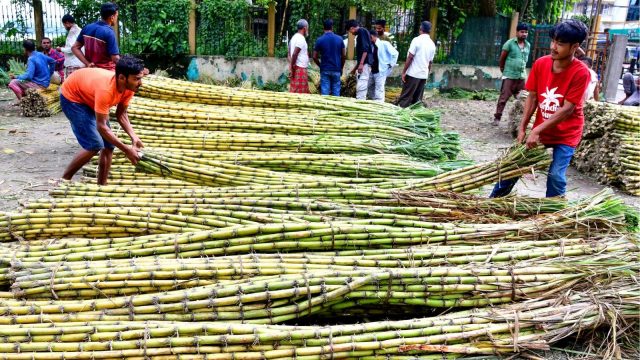 Sugar prices stay above ₹60/kg despite government measures